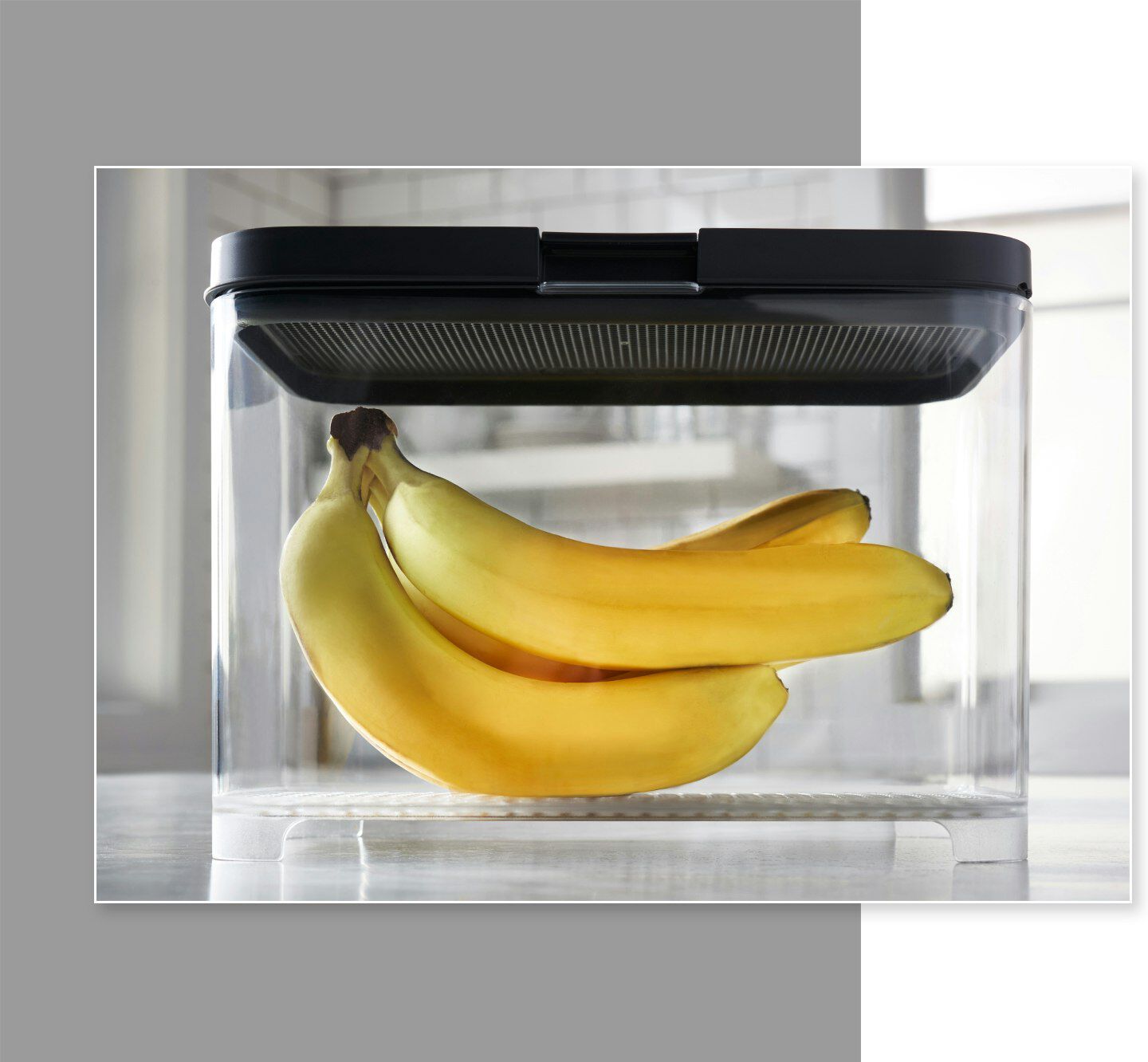 Rubbermaid FreshWorks countertop produce storage container bananas